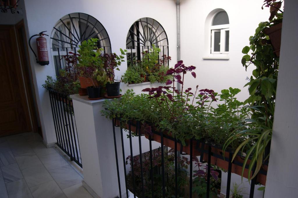 Alcazar I 2* Córdoba